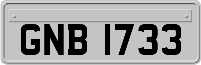 GNB1733
