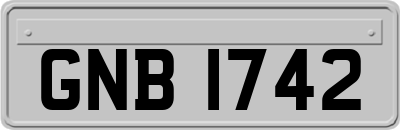 GNB1742
