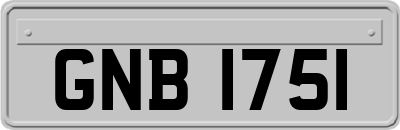 GNB1751