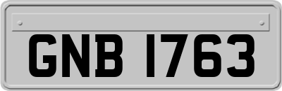 GNB1763
