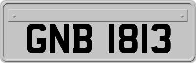 GNB1813