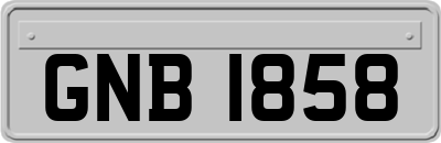 GNB1858