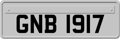 GNB1917