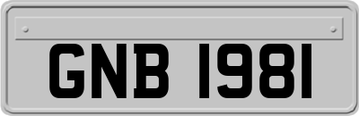 GNB1981