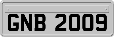 GNB2009