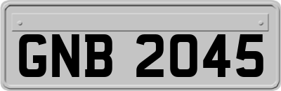 GNB2045