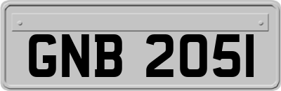 GNB2051