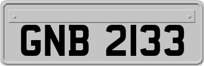 GNB2133