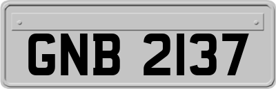 GNB2137
