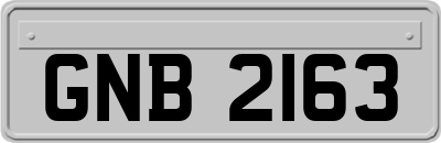 GNB2163