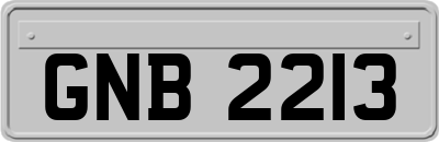 GNB2213