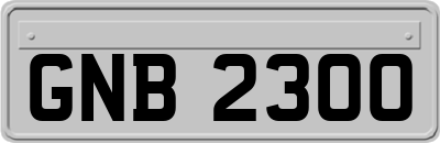 GNB2300