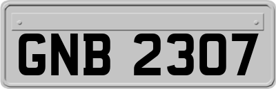 GNB2307