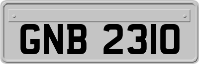 GNB2310