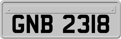 GNB2318