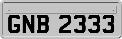 GNB2333