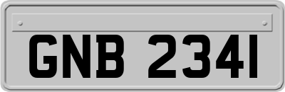 GNB2341