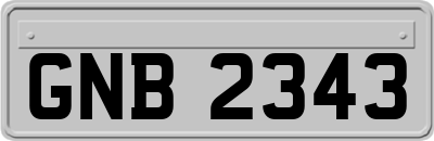 GNB2343