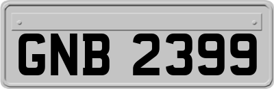 GNB2399