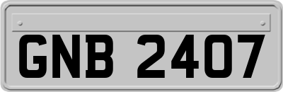 GNB2407
