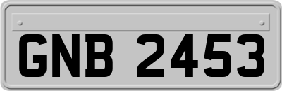 GNB2453