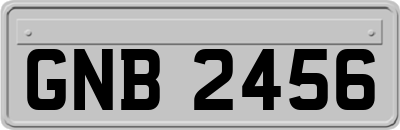 GNB2456