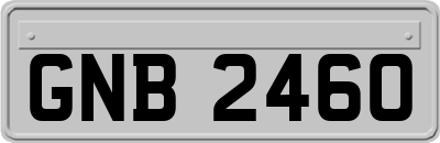GNB2460