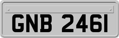 GNB2461