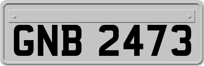 GNB2473