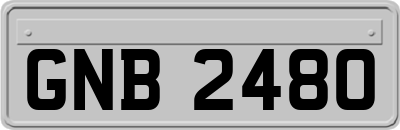GNB2480