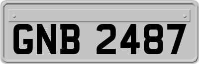 GNB2487