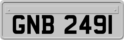 GNB2491