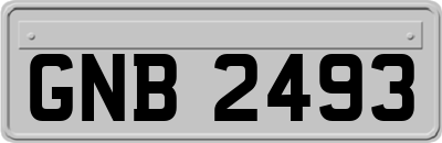 GNB2493