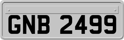 GNB2499
