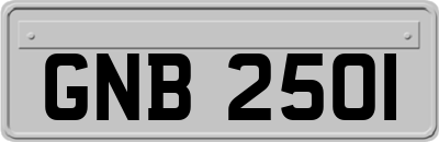 GNB2501