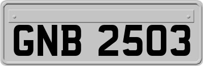 GNB2503