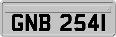 GNB2541