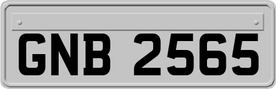 GNB2565