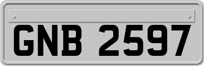 GNB2597