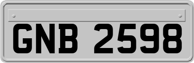 GNB2598