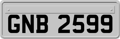 GNB2599