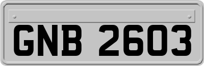 GNB2603
