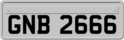 GNB2666