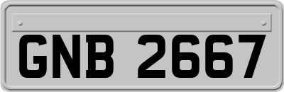 GNB2667