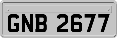 GNB2677