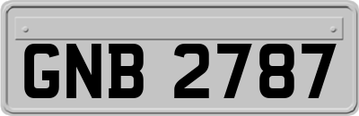 GNB2787
