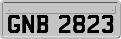 GNB2823