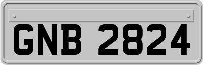 GNB2824