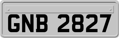 GNB2827