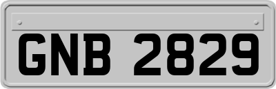 GNB2829